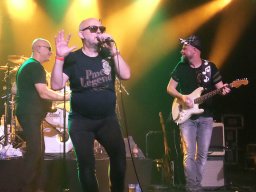 Beverse Feesten 2019